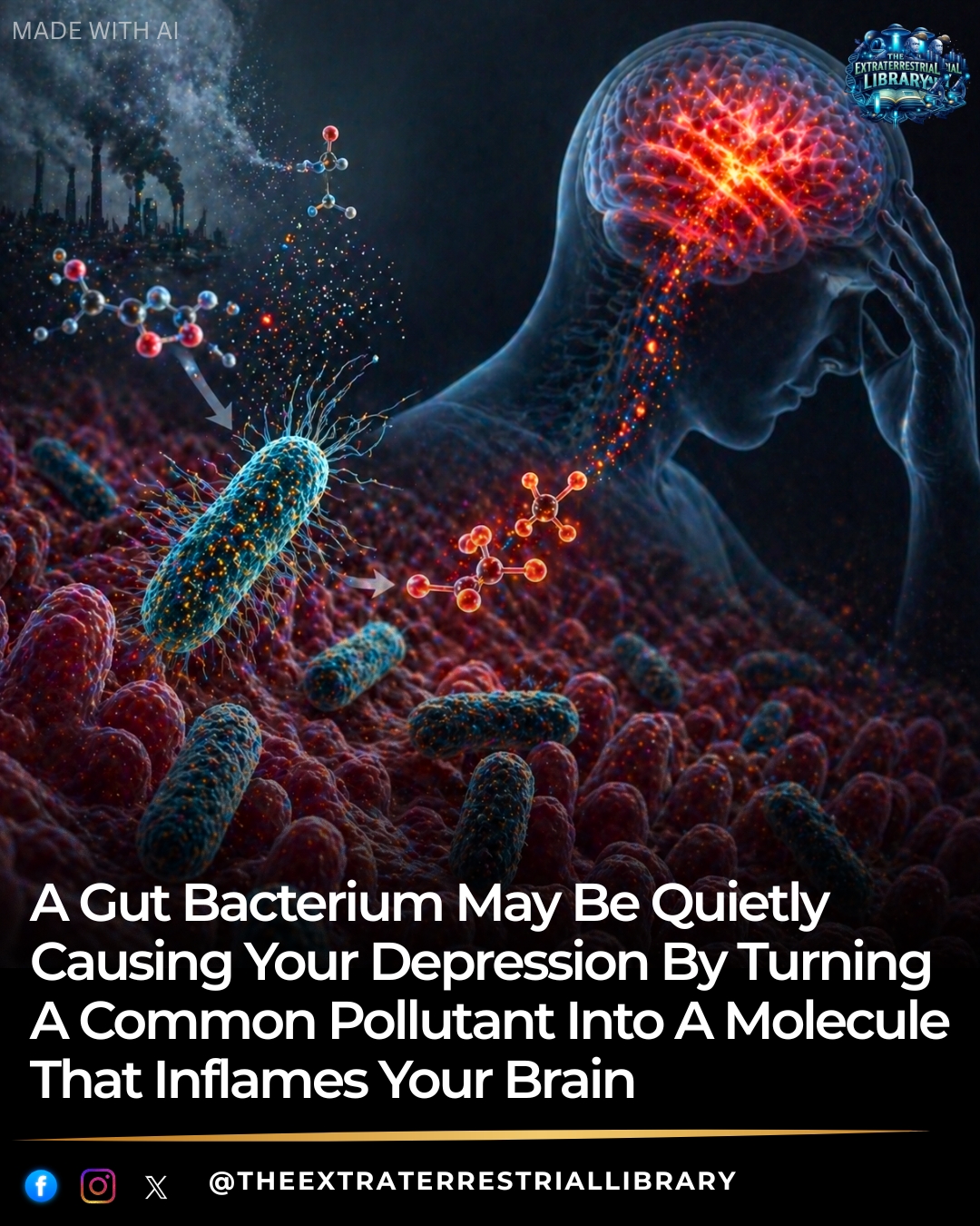 Gut Bacterium & Depression